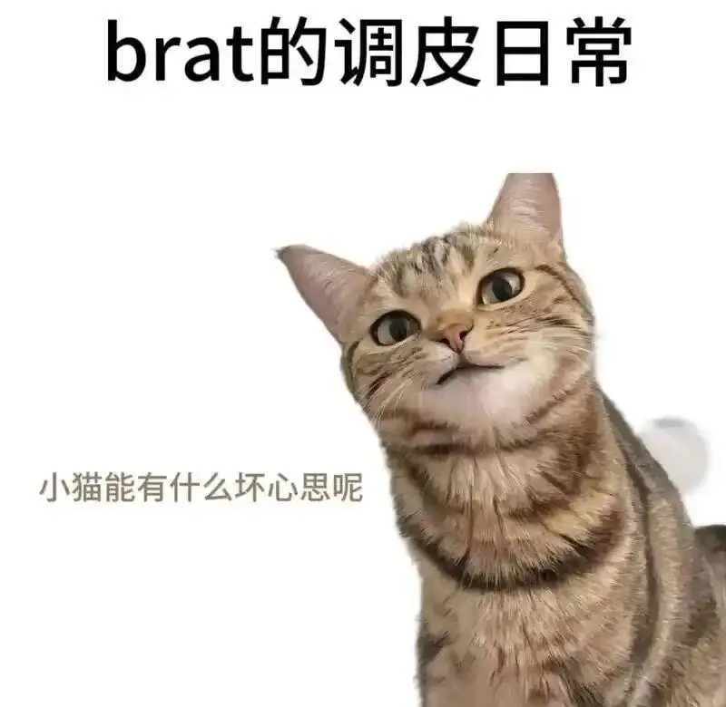 BDSM - 微信图片_20251203212836_109_19