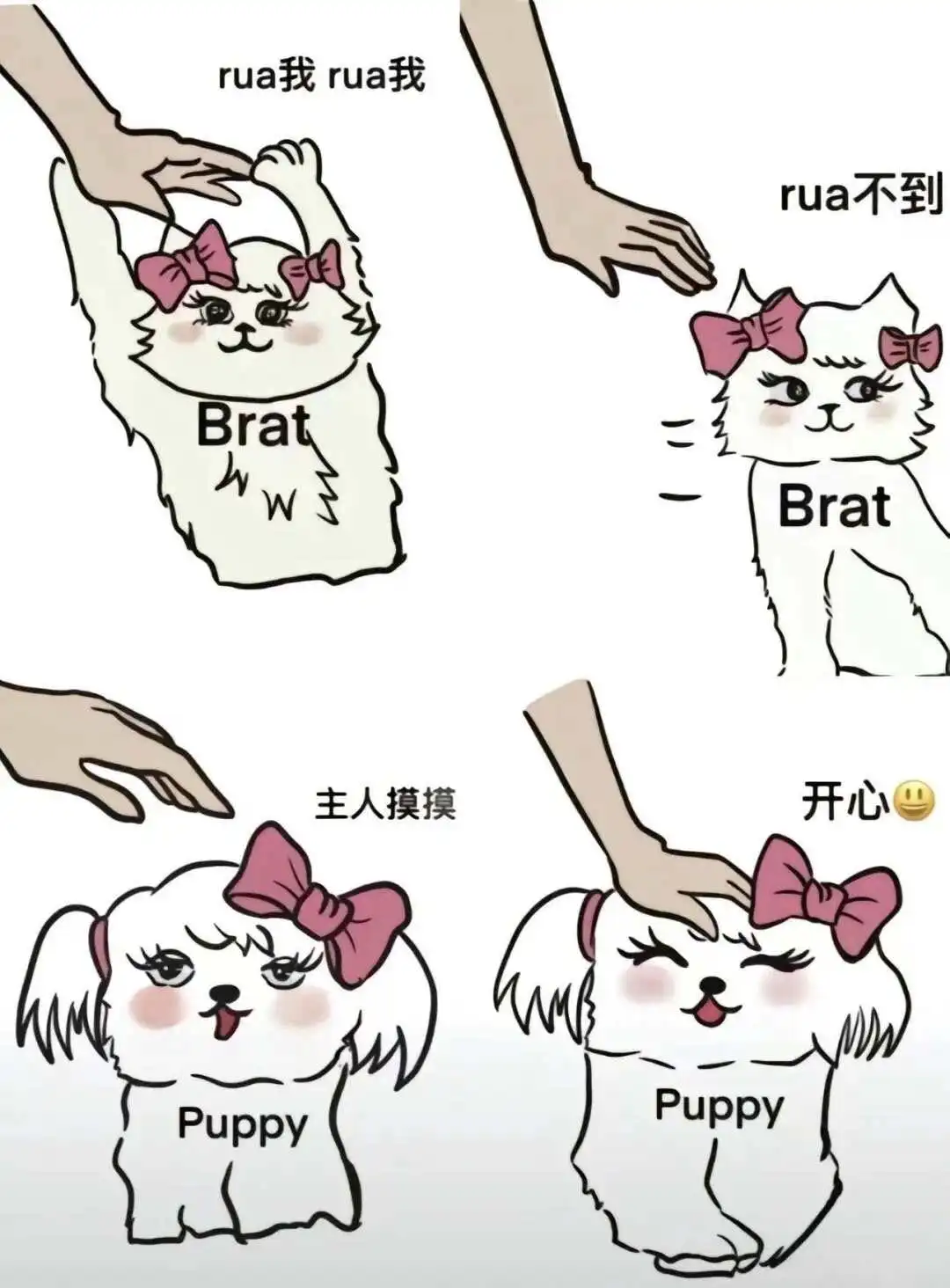 西檬之家-BDSM是什么？字母圈核心概念与新人入门指南