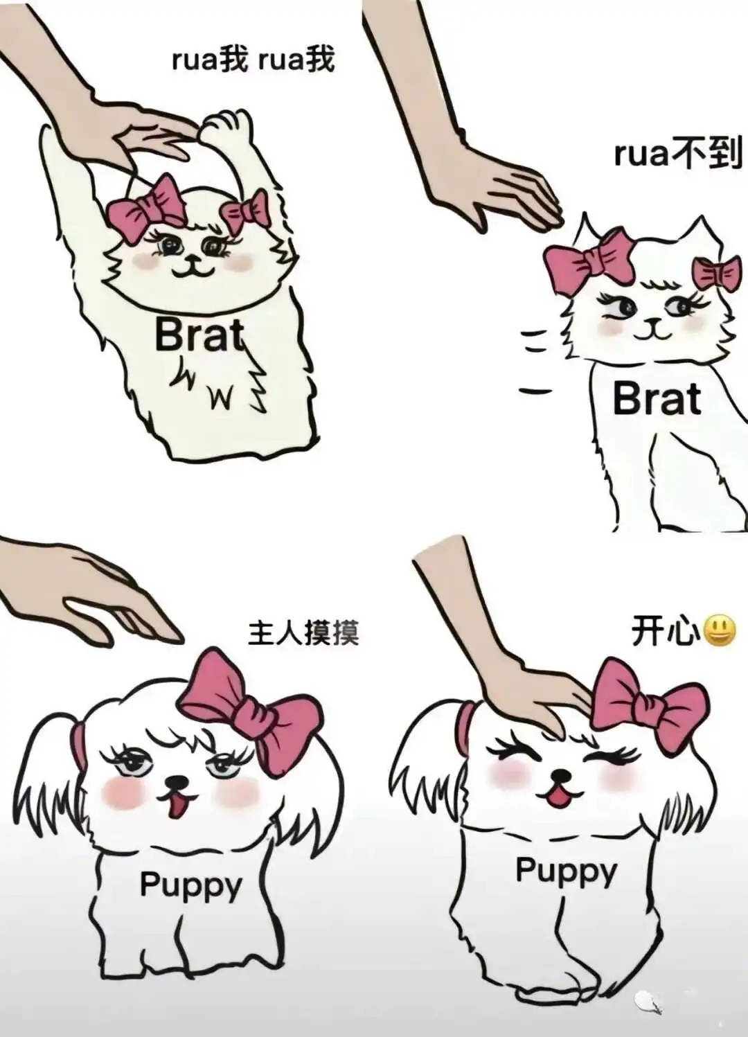 【西檬之家】K8猫系解析：字母圈新人的角色定位指南
