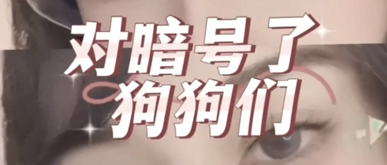【西檬之家】TK在字母圈的含义：BDSM新人入门指南