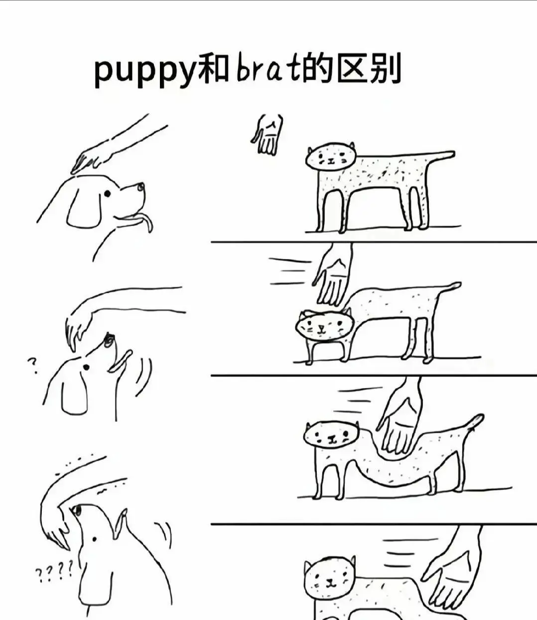 西檬之家-字母圈的Dom是什么意思？