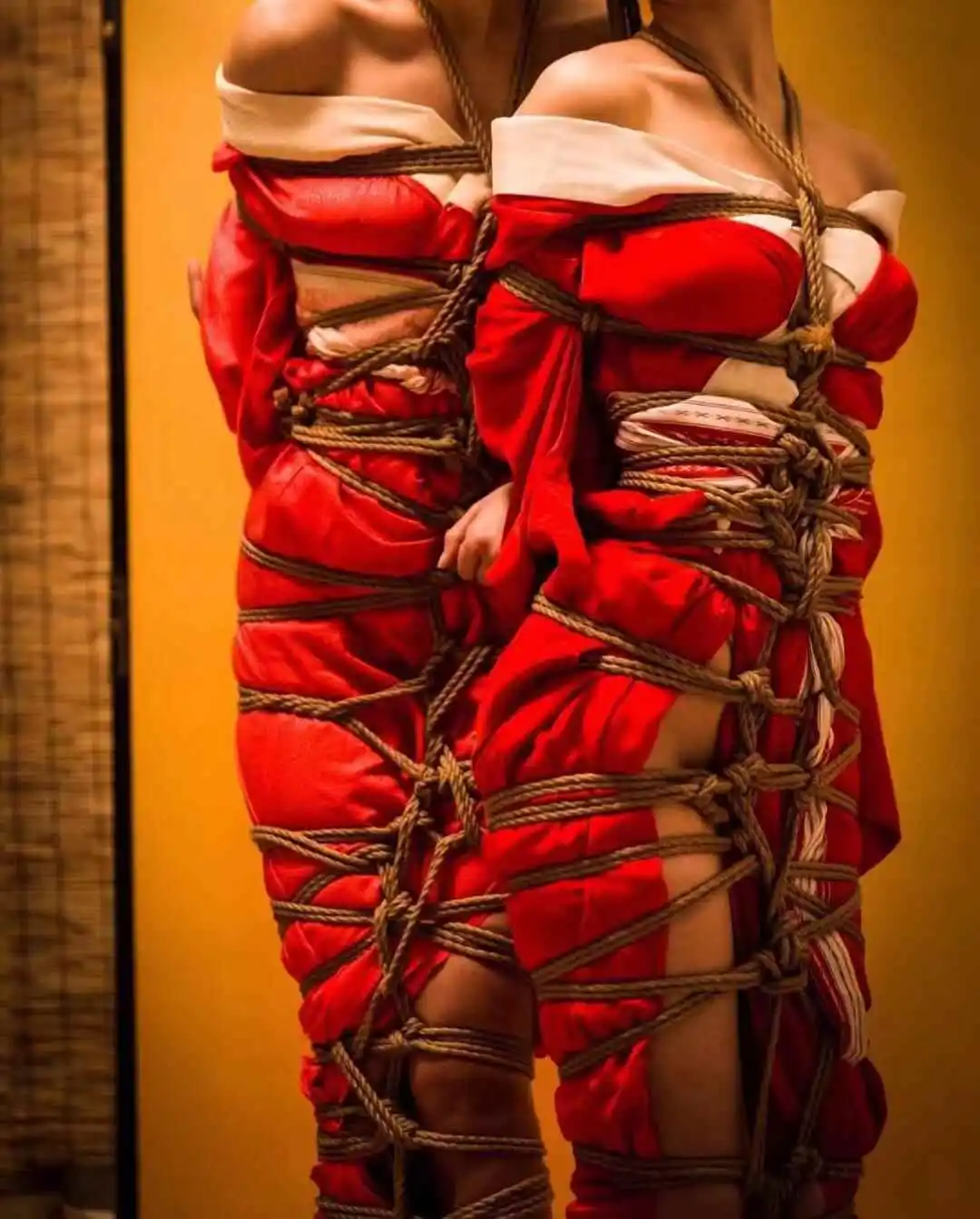 【西檬之家】BDSM入门：K9犬系属性与核心术语解析